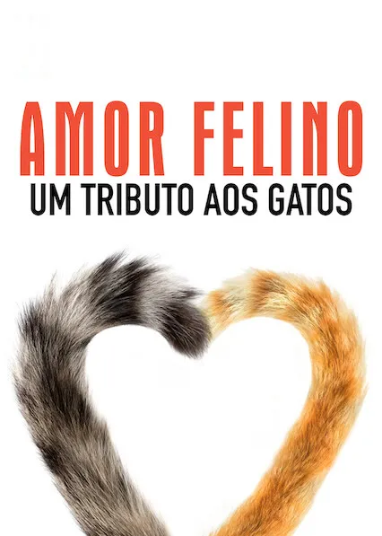 Para os Felinos que Amamos