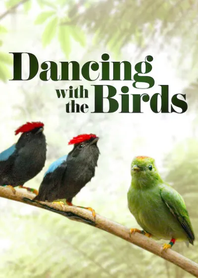 Dança dos Pássaros