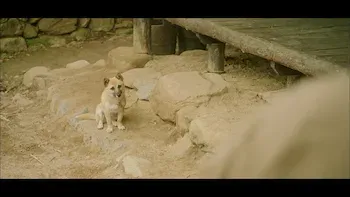 100 Days My Prince-Episódio 4