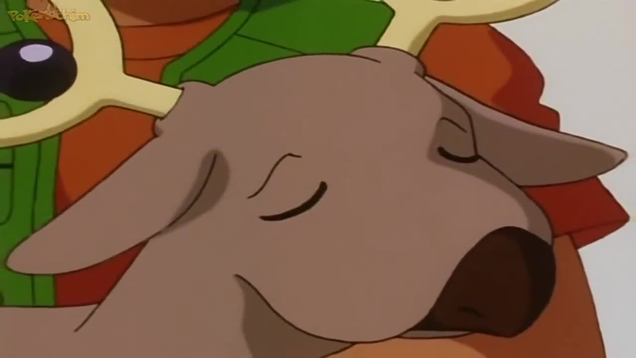 Pokémon The Series: The Johto Journeys Episódio 9