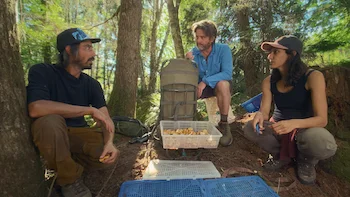 Mãos na Terra Episódio 3