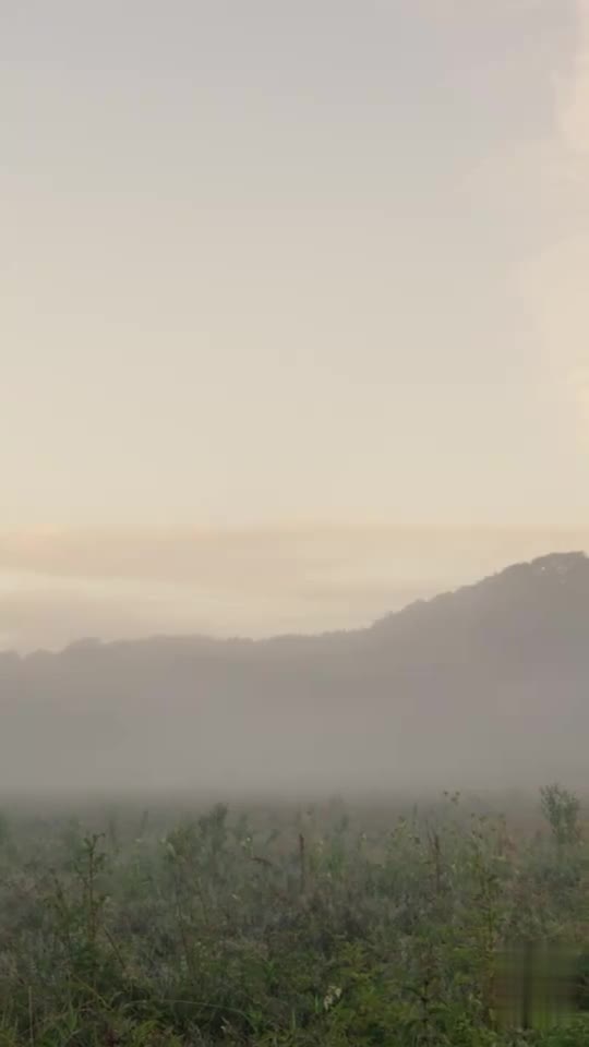True Luna Episódio 1