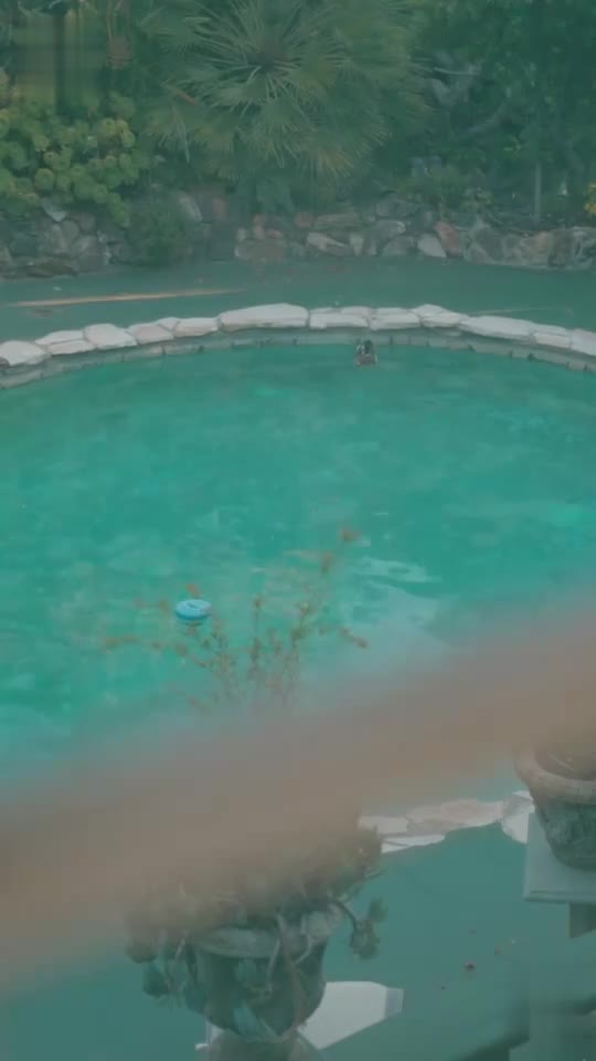 Fatal Temptation: Between Two Alphas Episódio 18